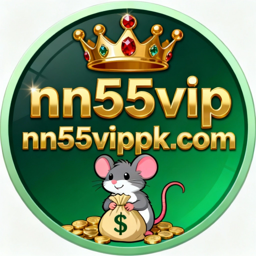 nn55vip